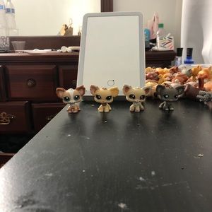 Littlest pet shops